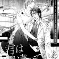  ����� Kimi wa Machigatteiru <small>Story & Art</small> 